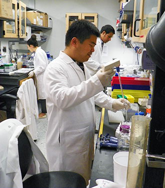 Dr. Karen Badal, Dr. Yujie Huang, and Dr. Prajwal Rajappa in Dr. Greenfield's research lab Dr. Karen Badal, Dr. Yujie Huang, and Dr. Prajwal Rajappa in Dr. Greenfield's research lab
