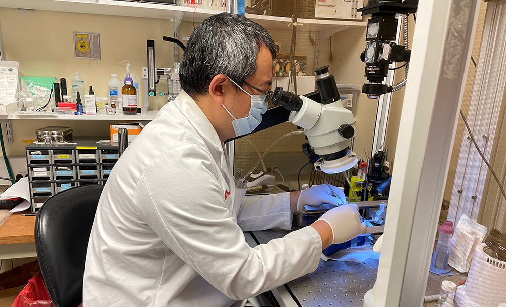 Epilepsy Research Brain & Spine Center