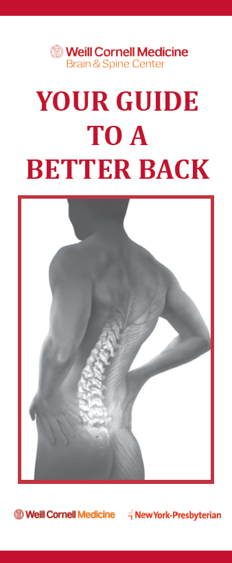Your Guide to a Better Back