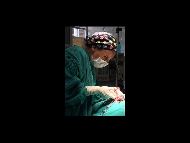 Dr. Maria Santos performs surgery