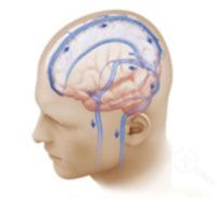 blood flow in veins from brain to neck