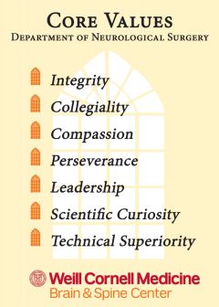Core Values: Integrity, Collegiality, Compassion, Perseverance, Leadership, Scientific Curiosity, Technical Superiority